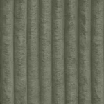 Tilia 37